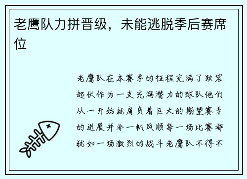 老鹰队力拼晋级，未能逃脱季后赛席位